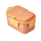 lunchbox isotherme kompartimentee orange